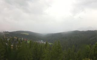 Bukovina - Panorama - 02-08-2025 04:07