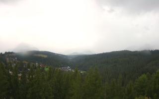 Bukovina - Panorama - 02-08-2025 04:42