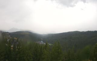 Bukovina - Panorama - 02-08-2025 05:11
