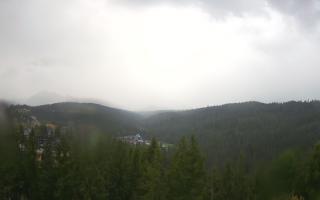 Bukovina - Panorama - 02-08-2025 05:18