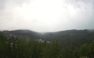 Bukovina - Panorama - 02-08-2025 05:25