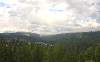 Bukovina - Panorama - 02-08-2025 07:24