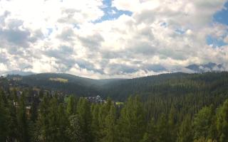 Bukovina - Panorama - 02-08-2025 07:38