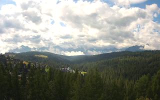 Bukovina - Panorama - 02-08-2025 07:45