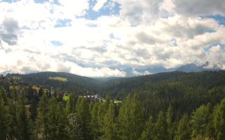 Bukovina - Panorama - 02-08-2025 08:00