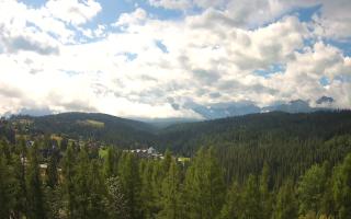 Bukovina - Panorama - 02-08-2025 08:07