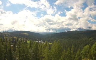 Bukovina - Panorama - 02-08-2025 08:14