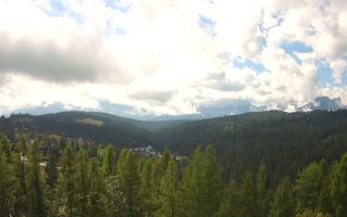 Bukovina - Panorama - 02-08-2025 08:35