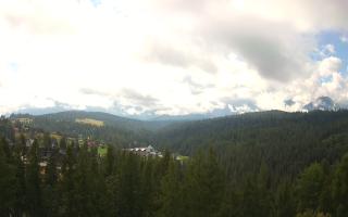 Bukovina - Panorama - 02-08-2025 08:42