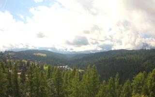 Bukovina - Panorama - 02-08-2025 08:49