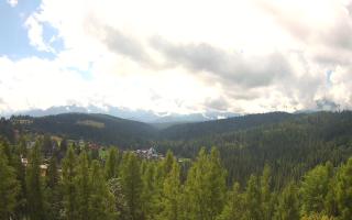 Bukovina - Panorama - 02-08-2025 09:03