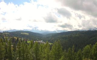 Bukovina - Panorama - 02-08-2025 09:10