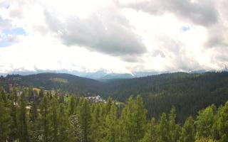 Bukovina - Panorama - 02-08-2025 09:17