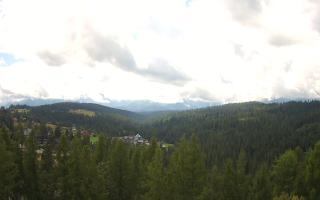 Bukovina - Panorama - 02-08-2025 09:24
