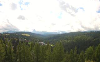 Bukovina - Panorama - 02-08-2025 09:31