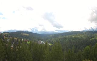 Bukovina - Panorama - 02-08-2025 09:45