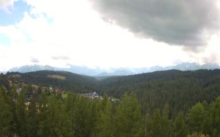 Bukovina - Panorama - 02-08-2025 10:27