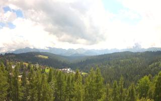 Bukovina - Panorama - 02-08-2025 10:48