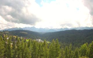 Bukovina - Panorama - 02-08-2025 10:55