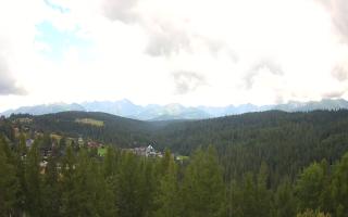 Bukovina - Panorama - 02-08-2025 11:10
