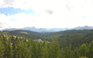 Bukovina - Panorama - 02-08-2025 11:45