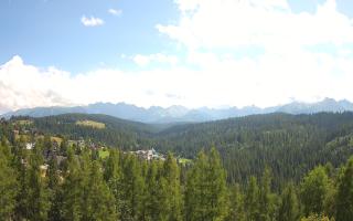 Bukovina - Panorama - 02-08-2025 12:06