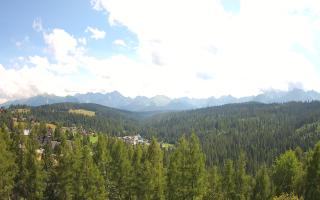 Bukovina - Panorama - 02-08-2025 12:20