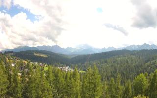 Bukovina - Panorama - 02-08-2025 12:41