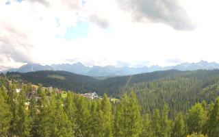 Bukovina - Panorama - 02-08-2025 12:48