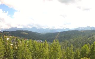 Bukovina - Panorama - 02-08-2025 12:55