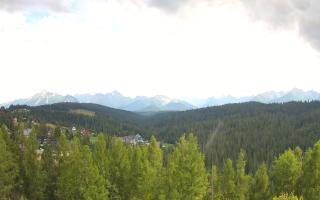 Bukovina - Panorama - 02-08-2025 13:23
