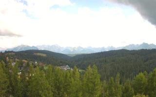 Bukovina - Panorama - 02-08-2025 13:37