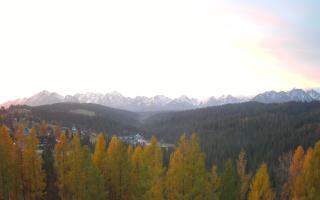 Bukovina - Panorama - 02-11-2025 05:17