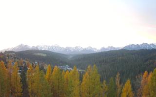 Bukovina - Panorama - 02-11-2025 05:24