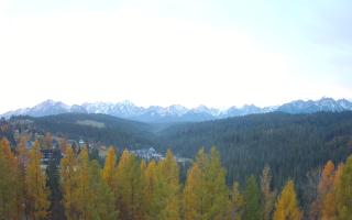 Bukovina - Panorama - 02-11-2025 05:31