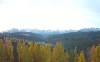 Bukovina - Panorama - 02-11-2025 05:38
