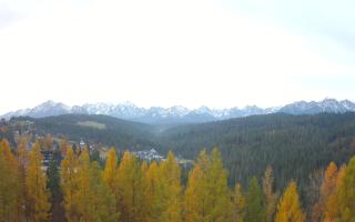 Bukovina - Panorama - 02-11-2025 05:45