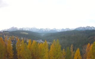 Bukovina - Panorama - 02-11-2025 05:52