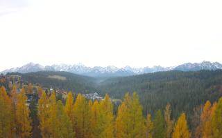 Bukovina - Panorama - 02-11-2025 05:59