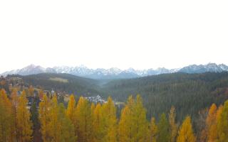 Bukovina - Panorama - 02-11-2025 06:13