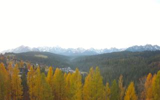 Bukovina - Panorama - 02-11-2025 06:20