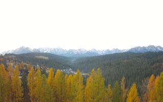 Bukovina - Panorama - 02-11-2025 06:27