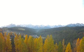 Bukovina - Panorama - 02-11-2025 06:34