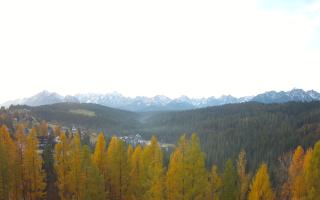 Bukovina - Panorama - 02-11-2025 06:41