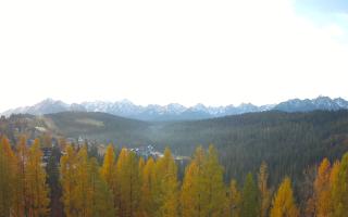 Bukovina - Panorama - 02-11-2025 06:48