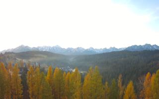 Bukovina - Panorama - 02-11-2025 06:55