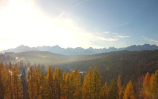 Bukovina - Panorama - 02-11-2025 07:31