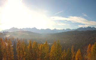 Bukovina - Panorama - 02-11-2025 07:38