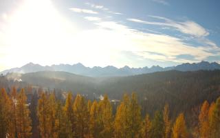 Bukovina - Panorama - 02-11-2025 07:45
