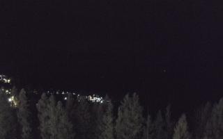 Bukovina - Panorama - 03-11-2025 04:23